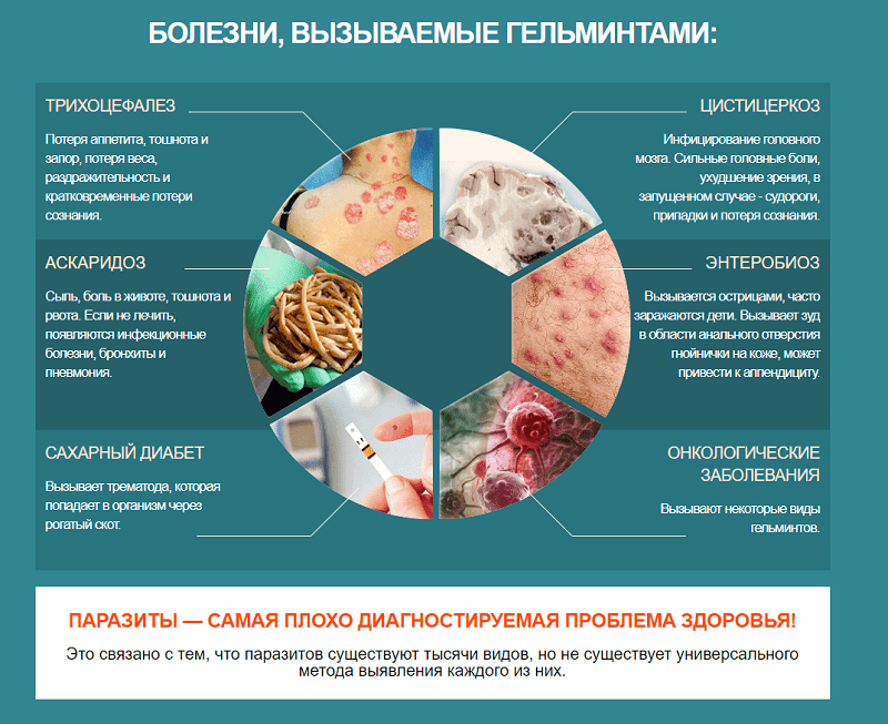 Стоит помнить, что несвоевременное лечение паразитарных микроорганизмов может вызвать серьезные нарушения в работе внутренних систем