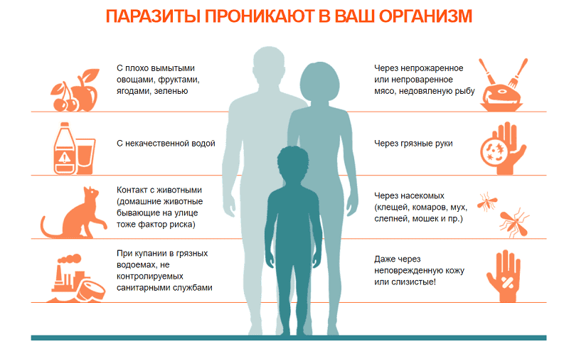 Кроме того, нормализуется работа кишечника, поэтому человек больше не страдает от частых походов в туалет или запоров