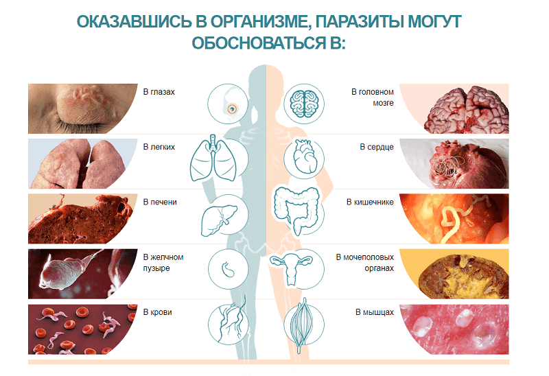 Мы предлагаем Клинистил для профилактических целей и комплексного лечения